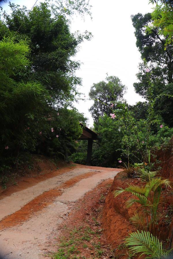 Coorg Nature Breeze Home Stay Madikeri Bagian luar foto